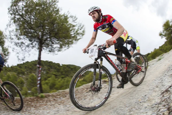 Granada, İspanya - Haziran 1: Rekabet dağ bisikleti "La Mamut Padul bisikletle" 1 Haziran 2014 Granada, İspanya bilinmeyen yarışçı — Stok fotoğraf