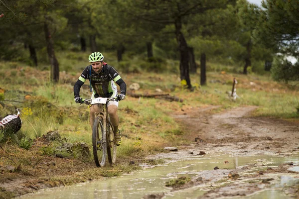 GRANADA, SPAIN - JUNE 1: Unknown racer on the competition of the mountain bike "La Mamut Padul Bike" on June 1, 2014 in Granada, Spain — Stock Photo, Image