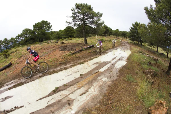 Granada, Hiszpania - 1 czerwca: Nieznany zawodnik na konkursie mountain Bike "La Mamut Padul rower" na 1 czerwca 2014 w Granada, Hiszpania — Zdjęcie stockowe