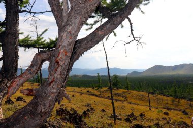 Khorgo-Terkhiin Tsagaan Nuur Ulusal Parkı 'ndaki Khorgo volkan lav tarlası, Moğolistan