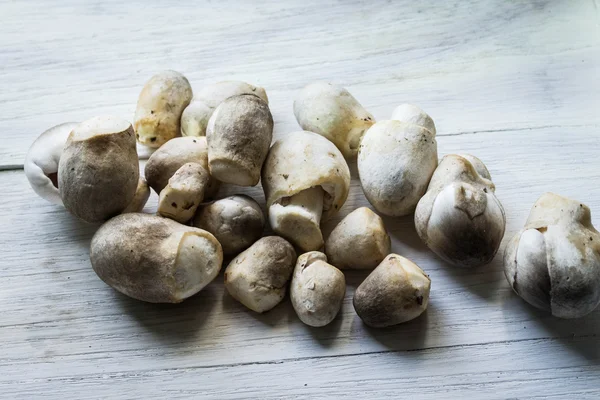 Straw mushroom on wooden Stock Photo