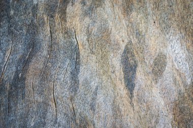 ağaç gövdeleri yapılmış sağlam bir ahşap çekirdek