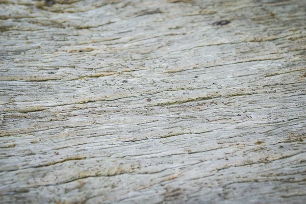 Тверде деревне ядро з дерев'яних стовбурів — стокове фото