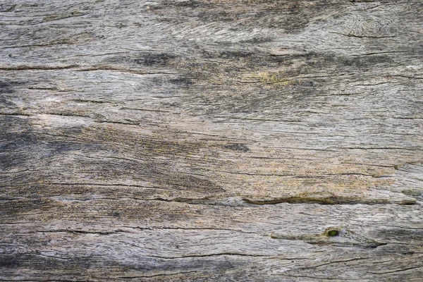 Ein massiver Holzkern aus Baumstämmen — Stockfoto