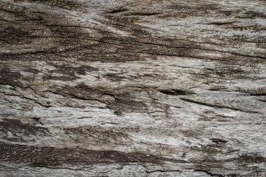 eski ahşap doku arkaplanı