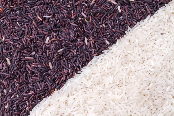 Rij van rijst bessen en jasmijn rijstkorrels — Stockfoto