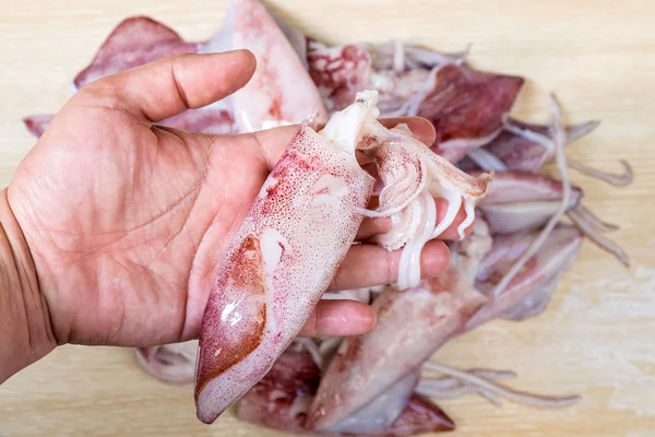 Färsk bläckfisk på mänsklig hand — Stockfoto