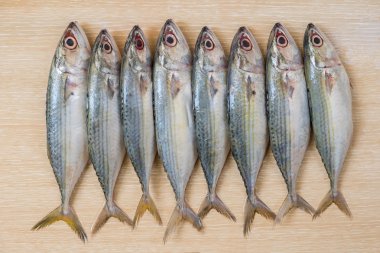 Taze deniz balık ahşap tablo