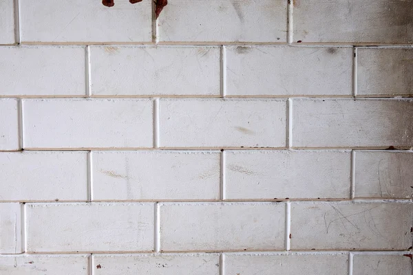 Grunge witte bakstenen muur achtergrond — Stockfoto