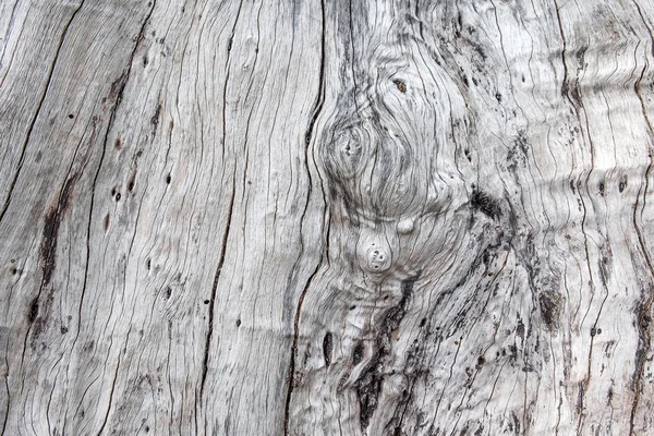 Close up natural old wood texture background with cracks — Stock Photo, Image