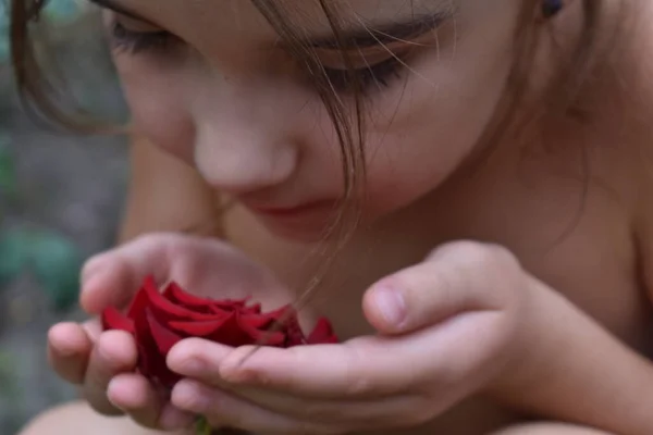 Manos Forma Corazón Rosa Roja Manos Forma Corazón —  Fotos de Stock