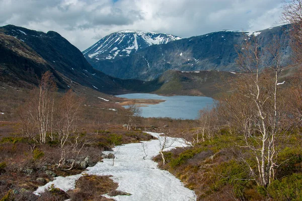 Jezioro Góry Parku Narodowym Jotunheimen Norwegia — Zdjęcie stockowe