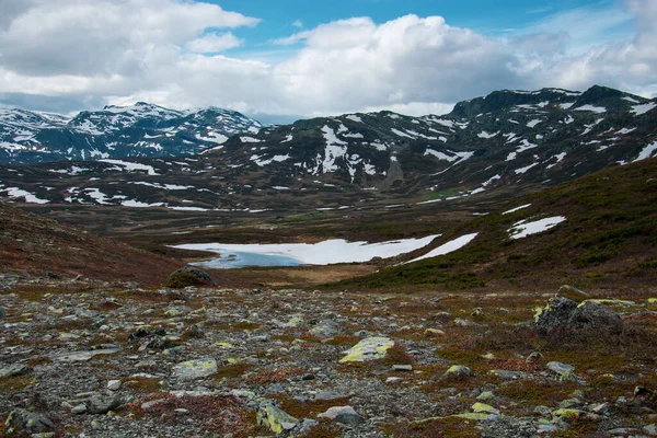 Pohled Hory Národním Parku Jotunheimen Norsko — Stock fotografie