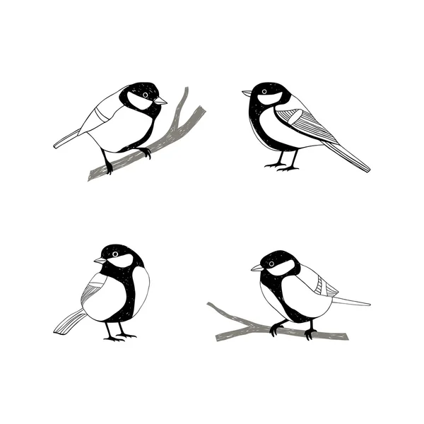 Birds sketch set. Tomtit. — Stock Vector