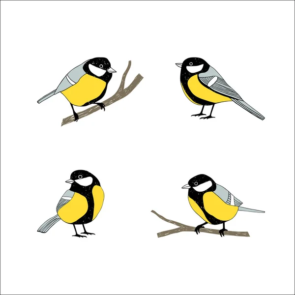 Birds sketch set. Tomtit. — Stock Vector