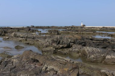Morjim Goa sahilden geçiyor.