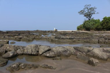 Morjim Goa sahilden geçiyor.
