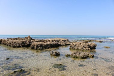 Taşlı Akdeniz kıyıları İsrail Netanya