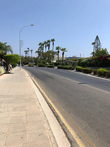Ayia NAPA 'da palmiye ağaçları