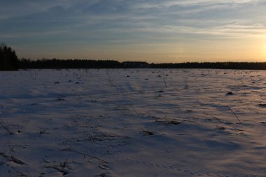 Kışın ormanın önündeki kar tarlası. gün batımı