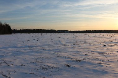 Kışın ormanın önündeki kar tarlası. gün batımı