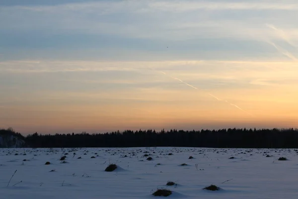 Campo Neve Fronte Alla Foresta Inverno Tramonto — Foto Stock