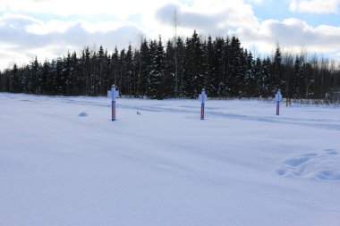 Kar tarlası, mavi bir gökyüzü güneşli bir gün, çam ormanı.