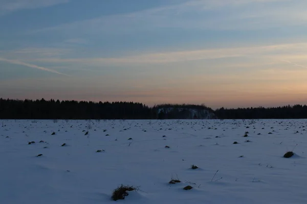 Campo Neve Fronte Alla Foresta Inverno Tramonto — Foto Stock