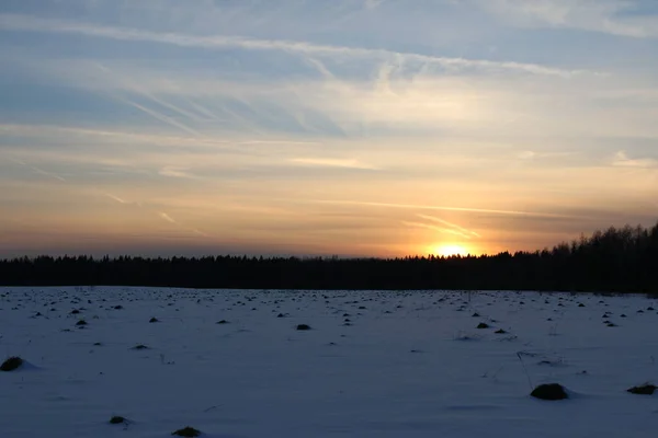 Campo Neve Fronte Alla Foresta Inverno Tramonto — Foto Stock