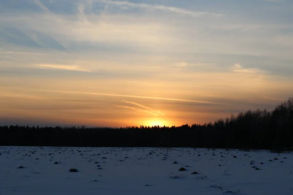 Schneefeld Vor Dem Wald Winter Sonnenuntergang — Stockfoto