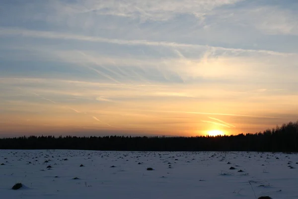 Campo Neve Fronte Alla Foresta Inverno Tramonto — Foto Stock