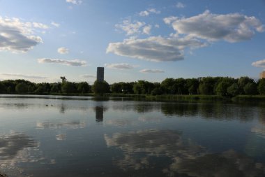 İki ördek Rusya Gölü 'nde yüzer