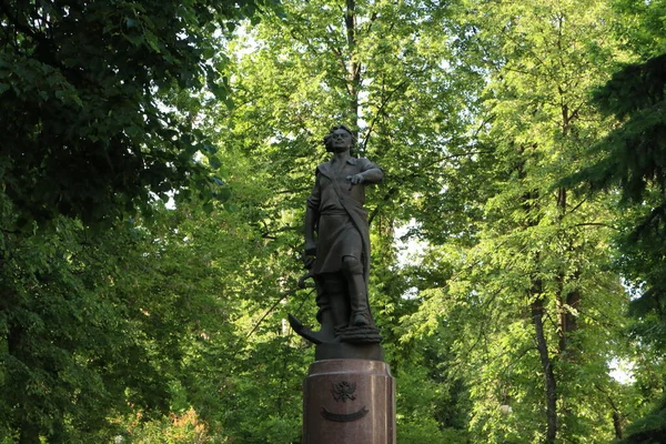 Памятник Императору Петру Среди Зеленых Деревьев Измайлово Летняя Москва — стоковое фото