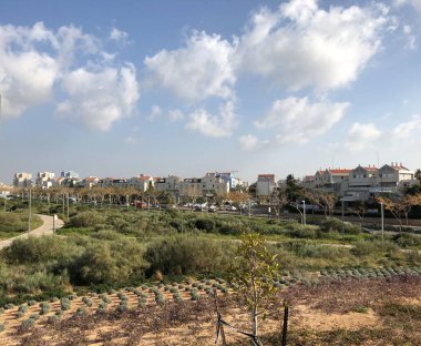 Gökyüzüne Karşı Şehir Binalarının Panoramik Görünümü