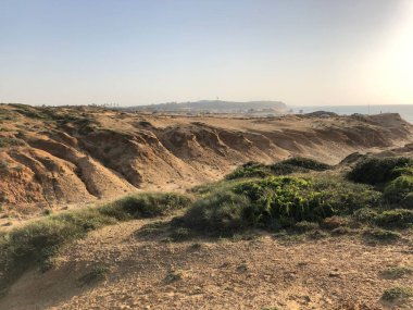 Yeşil tepeler İsrail netanyası