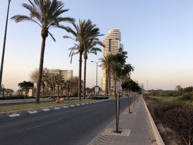 İsrail Netanya otoyol palmiye ağaçları