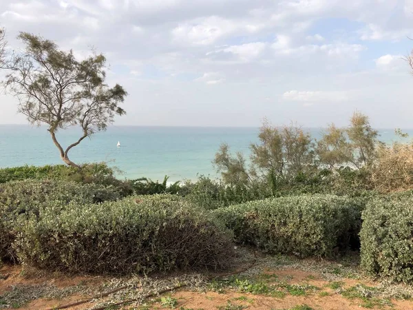 Mavi deniz boyunca gezinti, İsrail Netanya