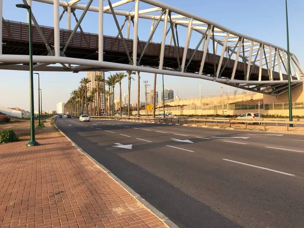 イスラエル Netanya高速道路ヤシの木 — ストック写真