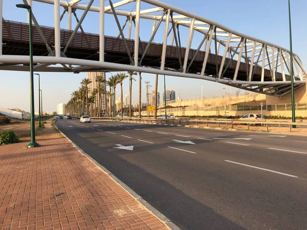 Israël Netanya Autoroute Palmiers — Photo