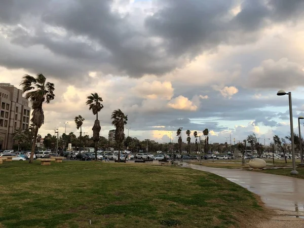 Yağmurdan sonra Tel Aviv 'in sokakları ve rıhtımı