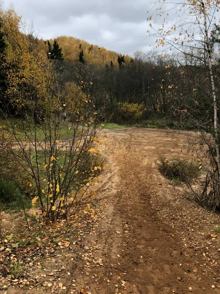 Höst Orange Grön Skog Vid Horisonten Skogsbältet — Stockfoto