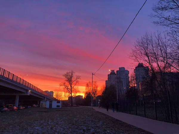 Crimson Galben Apus Soare Oraș Vară — Fotografie, imagine de stoc