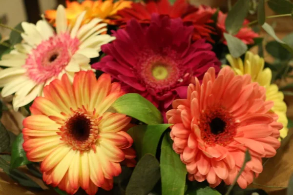 Beautiful Bouquet Gerberas — Stock Photo, Image