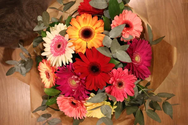 Schöner Strauß Gerbera — Stockfoto