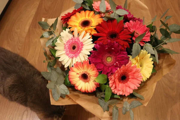 Vacker Bukett Gerbera — Stockfoto