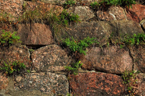 Een Oude Stenen Muur Begroeid Met Gras — Stockfoto