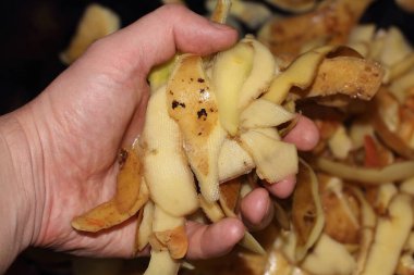 Patates kabukları elinde. Fotoğrafı kapat.