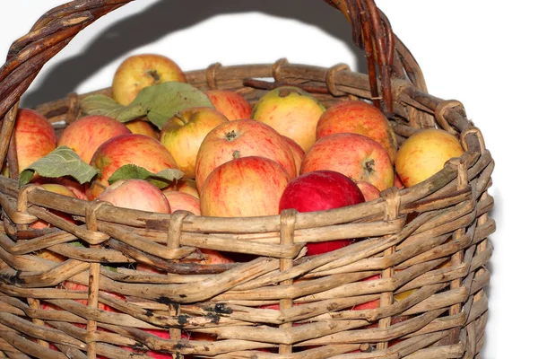 Manzanas Maduras Una Vieja Canasta Mimbre Cerrar Foto Sobre Fondo —  Fotos de Stock