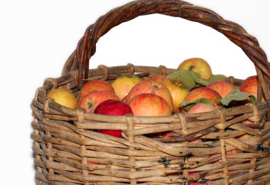 Hasır sepetteki kırmızı elmalar. Beyaz arkaplanda stüdyo fotoğrafı