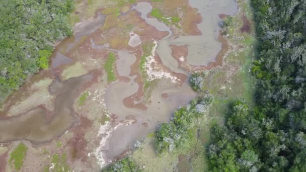 Вид с воздуха на беспилотник, летящий над водно-болотными угодьями — стоковое видео